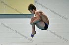 Swimming & Diving vs Babson  Swimming & Diving vs Babson College. - Photo by Keith Nordstrom : Wheaton, Swimming